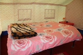 Pangong Delight Camp