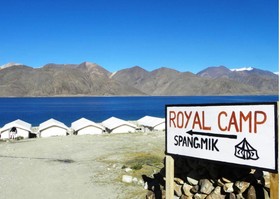 Royal Camp - Pangong