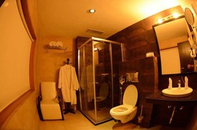 Hotel Pine Spring Wazir Bagh