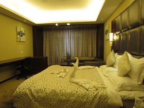 Hotel Pine Spring Wazir Bagh