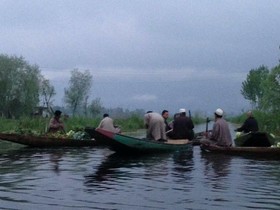 Houseboat Lily of Nageen
