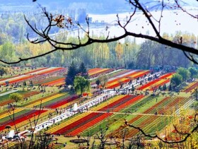 Kashmir Holiday Resort