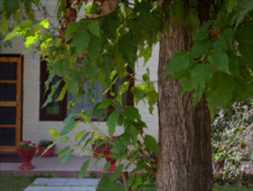 Mahatta Homestay