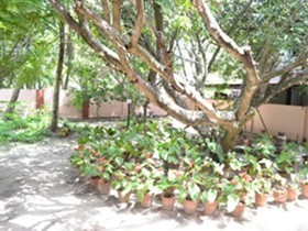 Tharavad Heritage Resort