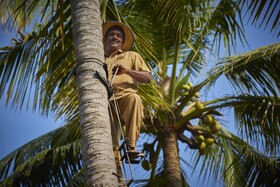 Xandari Pearl Beach Resort