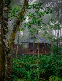 Monsoon Retreats Ecostay