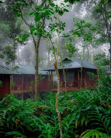 Monsoon Retreats Ecostay