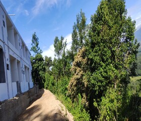 Tomsons Resort