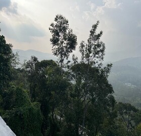 Tomsons Resort