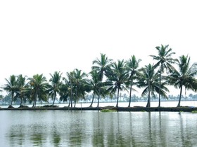 Akshay Homestay