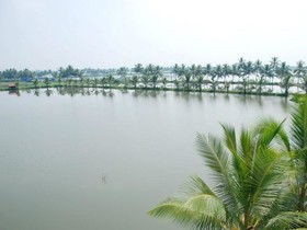 Akshay Homestay