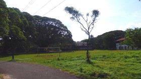 David Homes Homestay