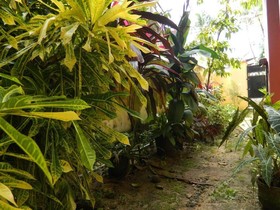 David Homes Homestay