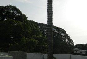 David Homes Homestay