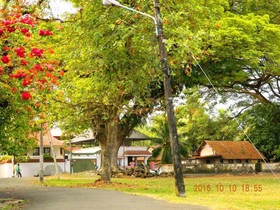 David Homes Homestay