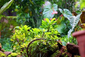 David Homes Homestay