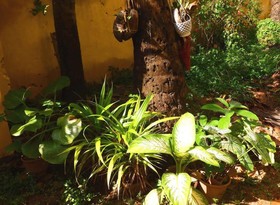 David Homes Homestay