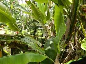 David Homes Homestay