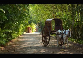 Saj Earth Resort & Convention Center