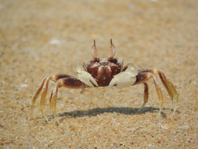 Sealine Beach Resort