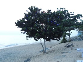 Sealine Beach Resort