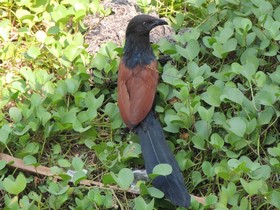 Sealine Beach Resort