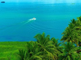 Backwater Ripples