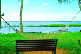 Backwater Ripples