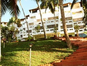 Soma Palmshore