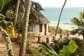 Soma Palmshore
