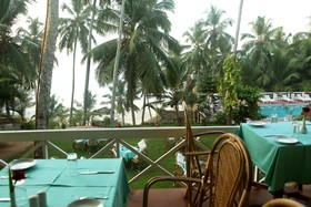 Soma Palmshore