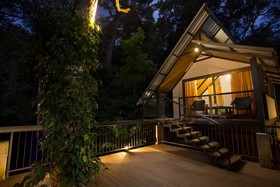Bamboo Dale