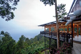 Chandys Drizzle Drops