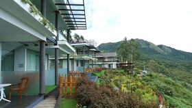 Chandys Drizzle Drops