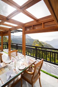 Chandys Drizzle Drops