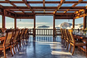 Chandys Drizzle Drops