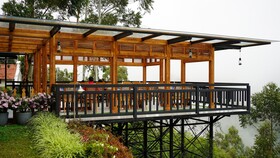 Chandys Drizzle Drops