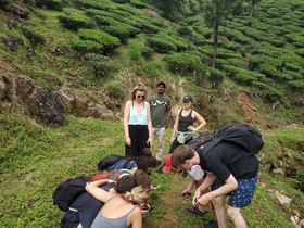 goSTOPS Munnar