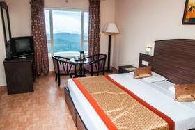 Misty Mountain Resort