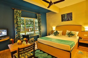 Misty Mountain Resort