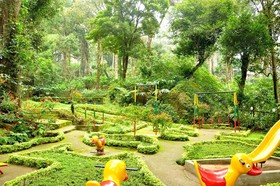 The Tall Trees Munnar