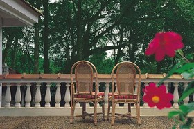 The Tall Trees Munnar