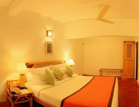 The Tall Trees Munnar