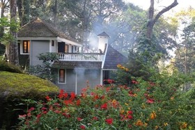 The Tall Trees Munnar