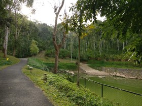 Amaana Plantation Resort