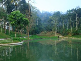 Amaana Plantation Resort