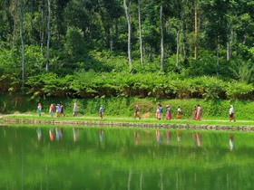 Amaana Plantation Resort