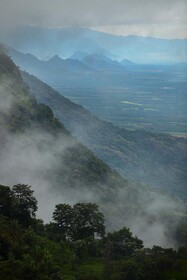 Hills & Hues