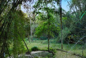 Keys Prima By Lemon Tree Hotels Thekkady