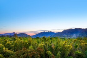 Keys Prima By Lemon Tree Hotels Thekkady